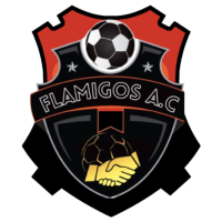 FLAMIGOS AC - VIANA