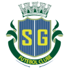 SÃO GABRIEL FC - GUARAPARI